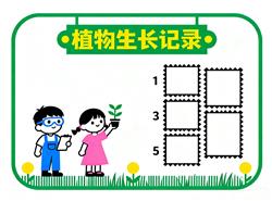 作业手抄报：植物生长记录