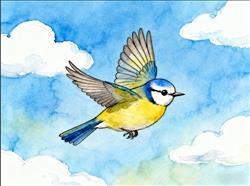 简笔画:小鸟快乐的飞翔