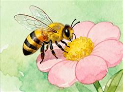 简笔画: 蜜蜂采蜜简笔画