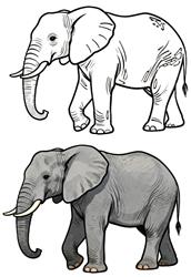 简笔画:大象简笔画图片