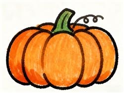 简笔画:南瓜简笔画儿童画法