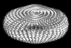 椭圆沙发3D模型图