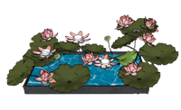 荷花池景观水池的su模型