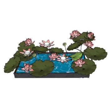 荷花池景观水池的su模型 SU模型下载