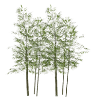 竹子竹林竹堆景观su模型