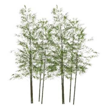 竹子竹林竹堆景观su模型 SU模型下载