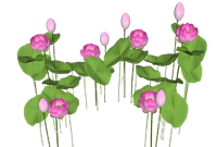 荷花荷叶景观su模型