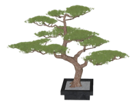 盆景盆栽景观迎客松植物 SketchUp模型截图 3D设计素材预览