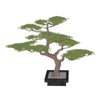 盆景盆栽景观迎客松植物su模型 SU模型下载