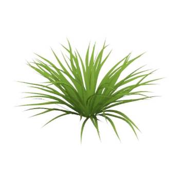 小草植物su模型 SU模型下载