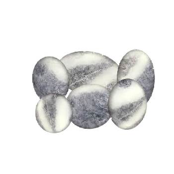 鹅卵石子石块景观su模型 SU模型下载