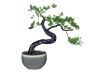 盆栽盆景植物su模型