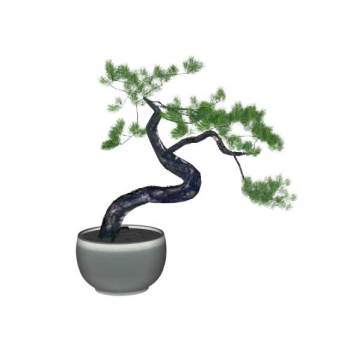 盆栽盆景植物su模型 SU模型下载