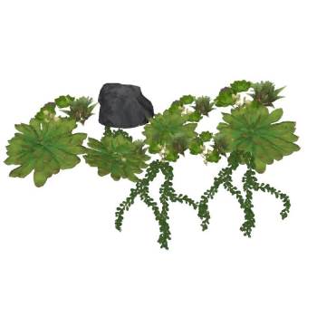 多肉植物系列su模型 SU模型下载