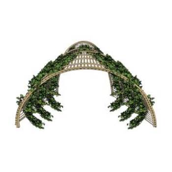 蔓藤爬藤花架su模型 SU模型下载