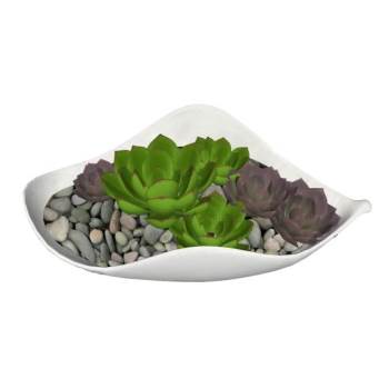 多肉植物摆件su模型 SU模型下载