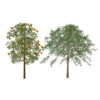 两棵果树su模型 SU模型下载