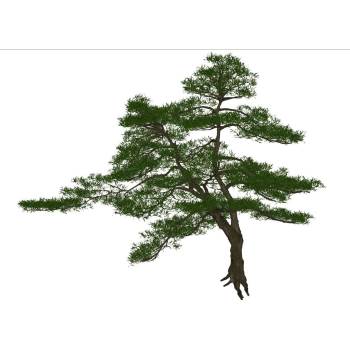 罗汉松庭院景观迎客松su模型 SU模型下载