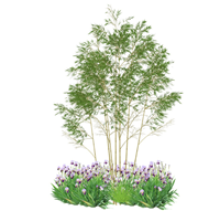 竹子植物景观su模型