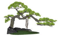 禅意罗汉松和佛珠su模型