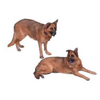 两只德国牧羊犬狼狗动物SU模型 - SU模型免费下载_sketchup模型