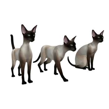 三只暹罗猫动物SU模型 - SU模型免费下载_sketchup模型