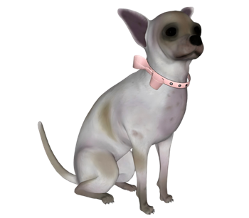 [动物]吉娃娃犬小狗 su模型素材库