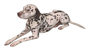 [动物]麦町犬宠物狗 sketchup模型下载