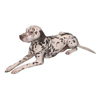 麦町犬宠物狗动物SU模型 SU模型下载