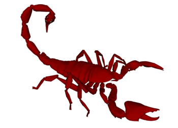 [动物]红蝎子 SU模型素材