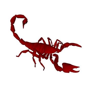 红蝎子动物SU模型 SU模型下载