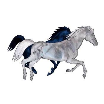 两匹奔跑的骏马动物SU模型 SU模型下载