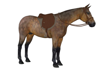 [动物]棕色马 SU模型免费库