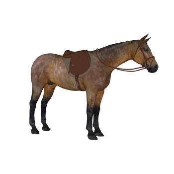棕色马动物SU模型 SU模型下载