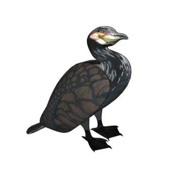 鸬鹚鸟动物SU模型 SU模型下载