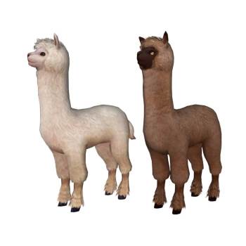 可爱的羊驼动物SU模型 SU模型下载