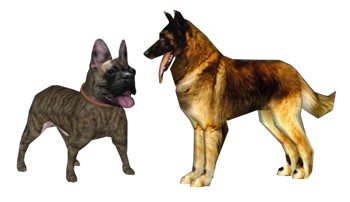 [动物]斗牛犬和狼狗 sketchup组件