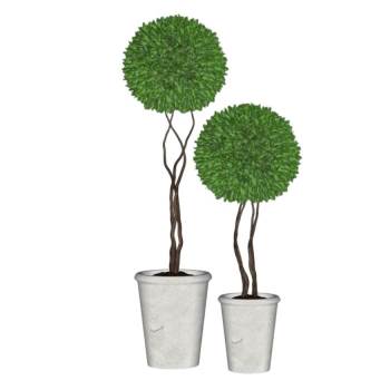 球形植物盆景植物SU模型 SU模型下载