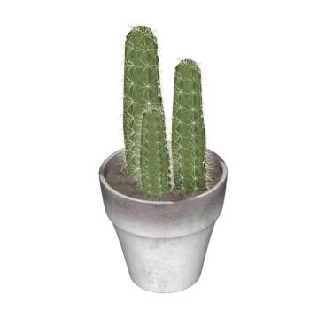 仙人掌花盆植物SU模型 SU模型下载