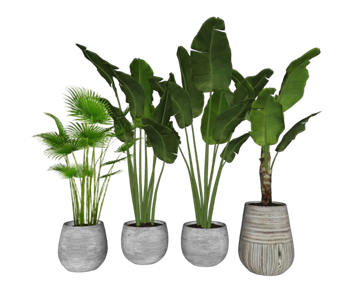 [植物]盆栽盆景植物 sketchup组件