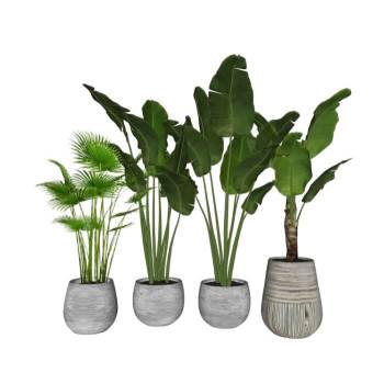 盆栽盆景植物植物SU模型 SU模型下载