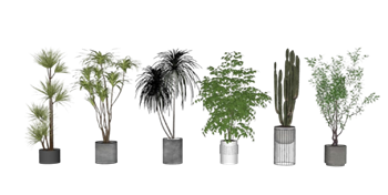 [植物]多个盆栽花盆 SU模型素材网站