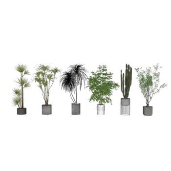 多个盆栽花盆植物SU模型 SU模型下载
