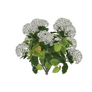白色绣球花植物SU模型 SU模型下载