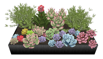 [植物]多肉植物盆栽集合 SU免费素材库