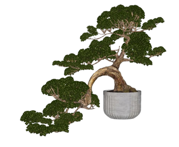 [植物]松柏盆景盆栽 SU模型网