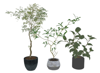 [植物]花盆摆件 SU下载