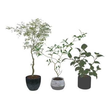 花盆摆件植物SU模型 SU模型下载
