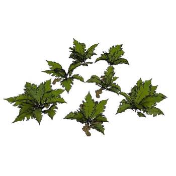 蕨类绿植植物SU模型 SU模型下载