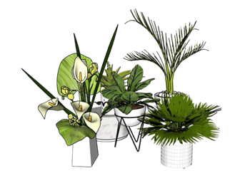 [植物]室内观叶与开花植物 草图大师素材库